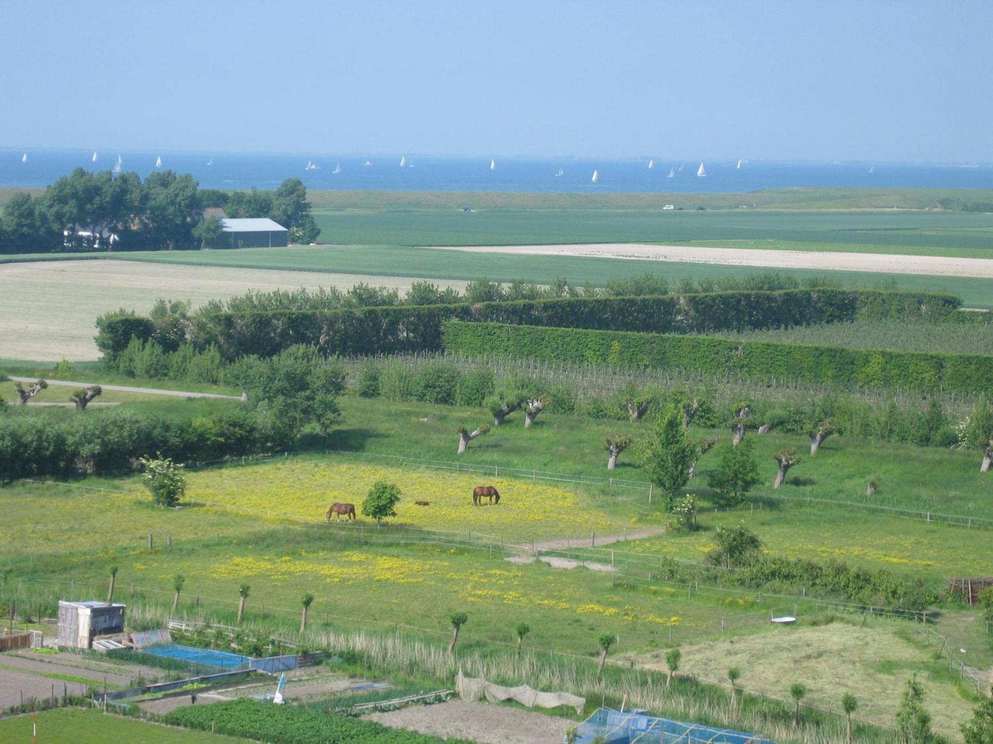 Resort De Vlasschure Wissenkerke Zewnętrze zdjęcie