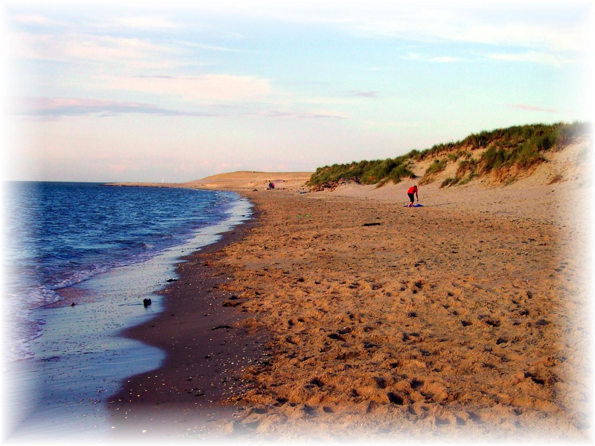 Resort De Vlasschure Wissenkerke Zewnętrze zdjęcie